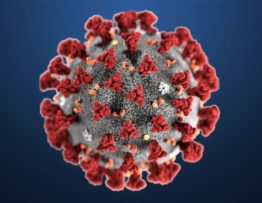 el-covid-19-frente-a-la-gripe-y-otros-coronavirus-grupotaser